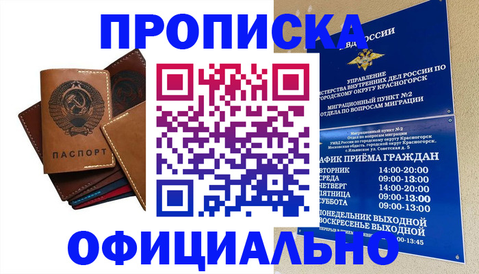 временная прописка в Жукове